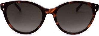 Missoni Ladies Brown Cat Eye Sunglasses MIS 0026/S
