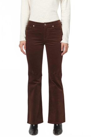 Dear John Denim Rosa Pants In Cappuccino