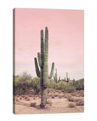 iCanvas Icanvas Desert Cactus Blush By Sisi & Seb Wall Art