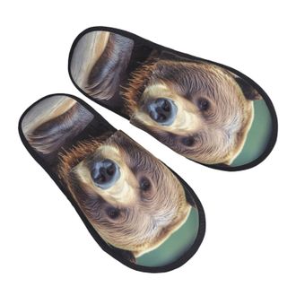 Generic Plush Slippers Grizzly Bear Breathable Slipper Reusable Cotton Slipper For Men Indoor Ladies L