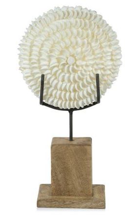 Zodax Clamrose Seashells on Wooden Stand in Ivory/Natural at Nordstrom Rack