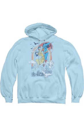 Gildan DC Comics Rainbow Love Adult Pull Over Hoodie / Hooded Sweatshirt