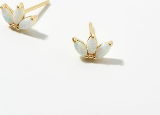 Midi34 Womens Vera earrings