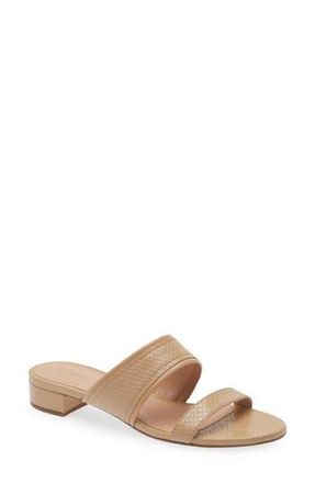 Cole Haan Fionna Wave Double Band Slide Sandals in Sand Snake Print Leather at Nordstrom Rack, Size 8.5