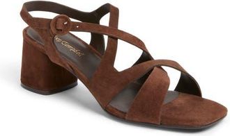 Jeffrey Campbell Rayet Strappy Block Heel Sandal in Brown Suede at Nordstrom, Size 8.5