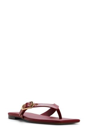 Aldo Leonnia Buckle Flip Flop in Medium Red at Nordstrom, Size 8.5
