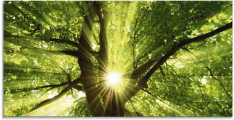 Artland Glasbild »Sonne strahlt explosiv durch den Baum« Bäume 1 Stk. tlg. in verschiedenen Grössen