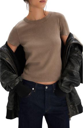 Free People Atlas Crop T-Shirt in Dutch Cocoa at Nordstrom, Size X-Large