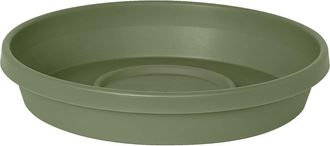 Bloem Terra 17 Inch Resin Saucer in Green at Nordstrom