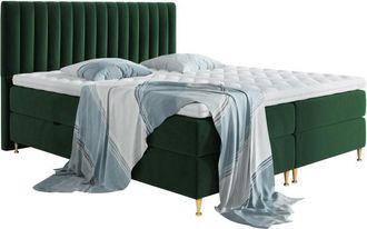 Mirjan24 Mobilier1 - Cama Continental Comfidream 156, Fresh 13, Doble, Continental, 140x200, Tapiz, Somieres, 148x210x118cm