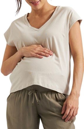 Ripe Marly Zip Nursing Tee in Stone at Nordstrom, Size X-Large