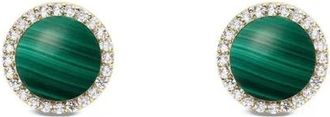 Daniel Wellington Earrings - Dames - Oorbellen - Geel - ONE Size - Accessoires