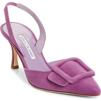 Manolo Blahnik Maysli Buckle Slingback Pump in Purple at Nordstrom, Size 10.5Us