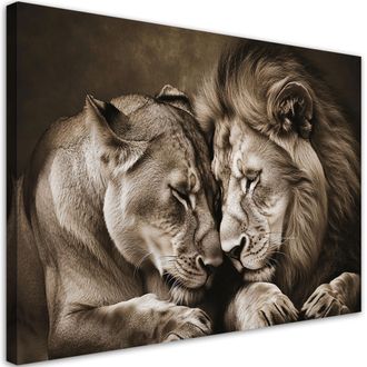 Feeby Cuadro Sobre Lienzo Pareja De Leones Y Leonas Animales Naturaleza 100x70