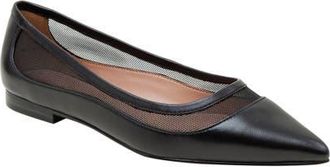 Linea Paolo Novah Pointed Toe Flat in Black at Nordstrom, Size 7.5