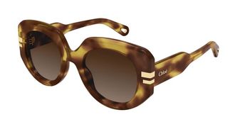 Chloé CH0257S 002 Womens Sunglasses Tortoiseshell Size 52