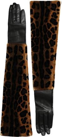 Dolce & Gabbana Luipaardprint Ellebooglengte Handschoenen - Dames - Handschoenen - Veelkleurig - ONE Size - Leer - Accessoires