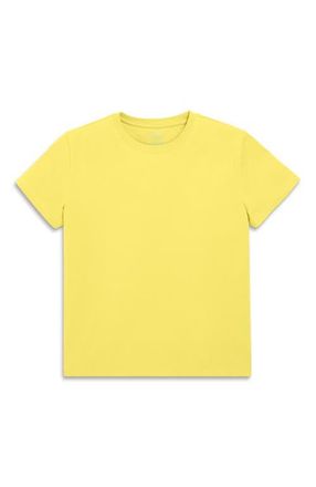 primary Adult Easy Crewneck Tee in Banana at Nordstrom, Size X-Small