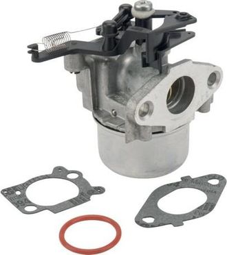 OEM Carburador Briggs Et Stratton 799479