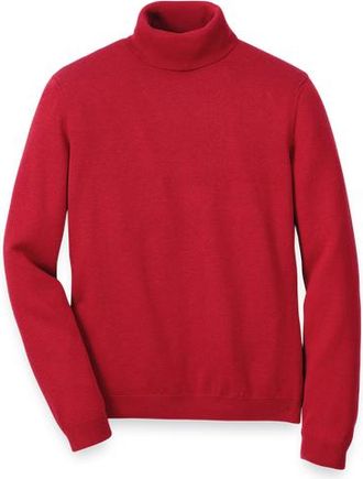 Paul Fredrick Supima Cotton Turtleneck at Nordstrom, Size X-Large