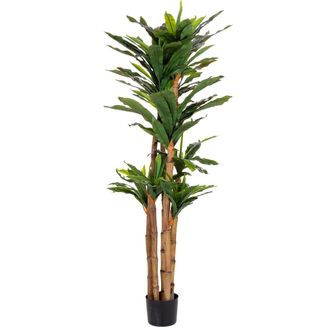 Wanderlust Deco Planta Dracaena Decorativa Artificial En Maceta 40x30x150h Cm