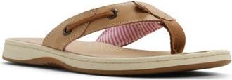 Sperry Top-Sider Seafish Flip Flop in Tan at Nordstrom, Size 10.5