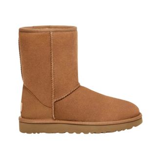 UGG M Classic Short - male - UGG - Winter Boots - Brown - 2 UK - Shoes