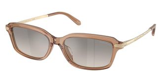 Ralph Lauren RL8245U 637708 Womens Sunglasses Brown Size 55