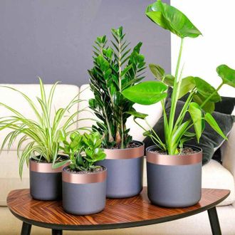 vidaXL Vidaxl - Nastro di rame doppio lato 6 pezzi 6 pcs Rame 2000 x 5 cm