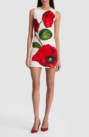 Alice & Olivia Wynell Floral Scuba Knit Minidress in Summer Poppy at Nordstrom, Size 10