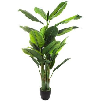Atmosphera Atmosphera - Platanera Artificial A. 170 Cm Cr&eacute;ateur DInt&eacute;rieur