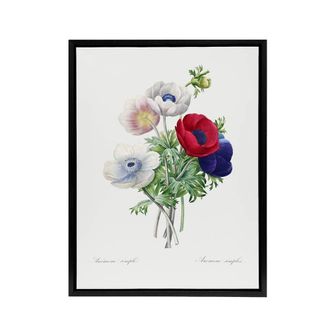 Artery8 Anemone Flowers Botanical Redoute Vintage Black Framed Canvas Wall Art in White | Size: W24 x H32