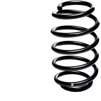 OEM Muelle De Stock Eibach R11662