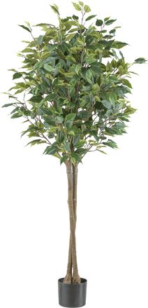 Creativ Green Kunstpflanze