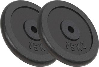 vidaXL Discos De Pesas De Hierro Fundido 2 Uds 2x15 Kg Vidaxl