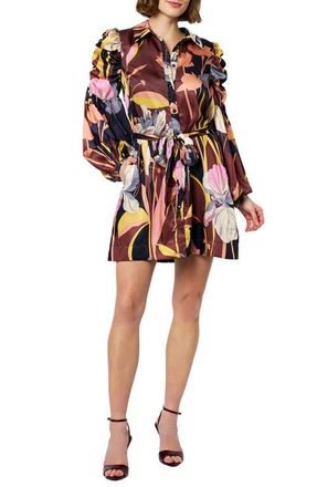 Ciebon Destin Long Sleeve Shirtdress in Brown at Nordstrom, Size X-Large