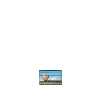 Paul Smith Wallets & Cardholders, male, Multicolor, Size: ONE SIZE Portacarte Mongolfiera Monte Fuji