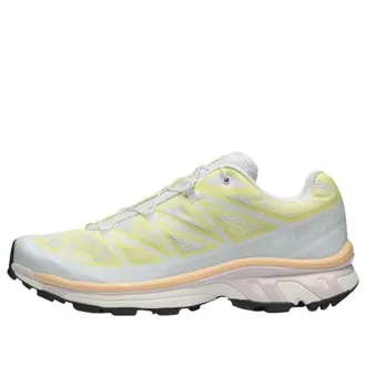 Salomon XT-6 Alpen Blossom Ice Flow Sunny Lime 479713