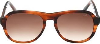 Abercrombie & Fitch 55mm Oval Sunglasses in Brown Horn /Brown at Nordstrom