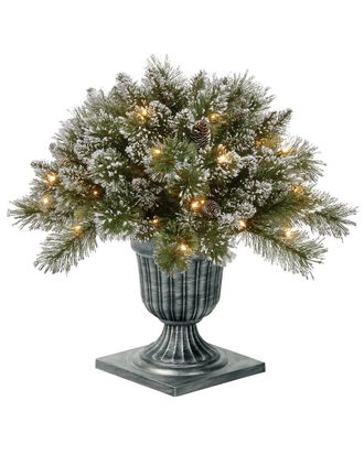 National Tree Company 24in Glittery Bristle Pine Porch Bush With Twinkle Led Lights