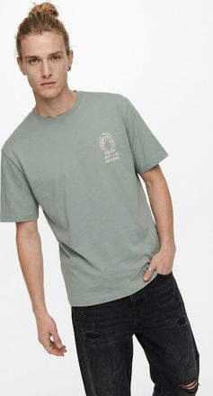Only & Sons T-Shirt ONLY & SONS ONSFRED LIFE RLX SS PRINT TEE NOOS, Herren, Gr. XXL, iceberg gr&uuml;n print:conichiwa toad, Jersey, Obermaterial: 100% Baumwolle, bedr