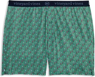 Vineyard Vines Sankaty Performance Boxer Brief - Stripe Mens Underwear Fore Christmas Green : 2XL, Spandex/Polyester