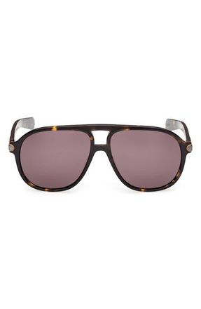 adidas 58mm Pilot Sunglasses in Dark Havana /Brown at Nordstrom
