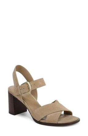 Vince Salma Ankle Strap Sandal in Dune at Nordstrom, Size 8.5