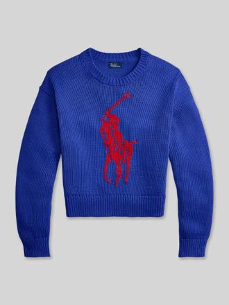 Polo Ralph Lauren Regular Fit Strickpullover aus reiner Baumwolle in Royal, Gr&ouml;&szlig;e XXL