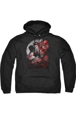 Gildan Batman Robin Spotlight Adult Pull Over Hoodie / Hooded Sweatshirt