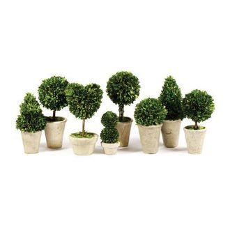 Napa Home & Garden Boxwood Topiaries Faux (Fake) Set of 8 in Brown at Nordstrom