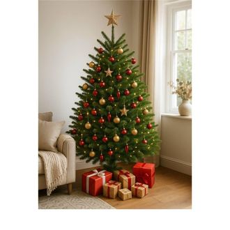 Clifton Premier Norway Spruce Christmas Tree - Fresh Cut - 1.5m - 1.75m (5 - 6ft) in Green