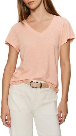 Sanctuary V-Neck T-Shirt in Washed Salmon Pink at Nordstrom, Size Xx-Large P