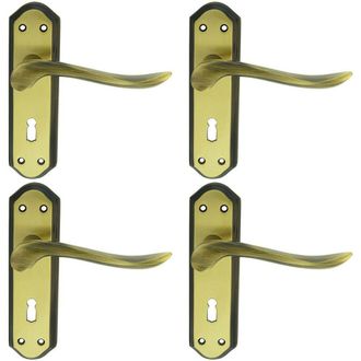 Loops 4x PAIR Curved Handle on Sculpted Lock Backplate 180 x 48mm Florentine Bronze